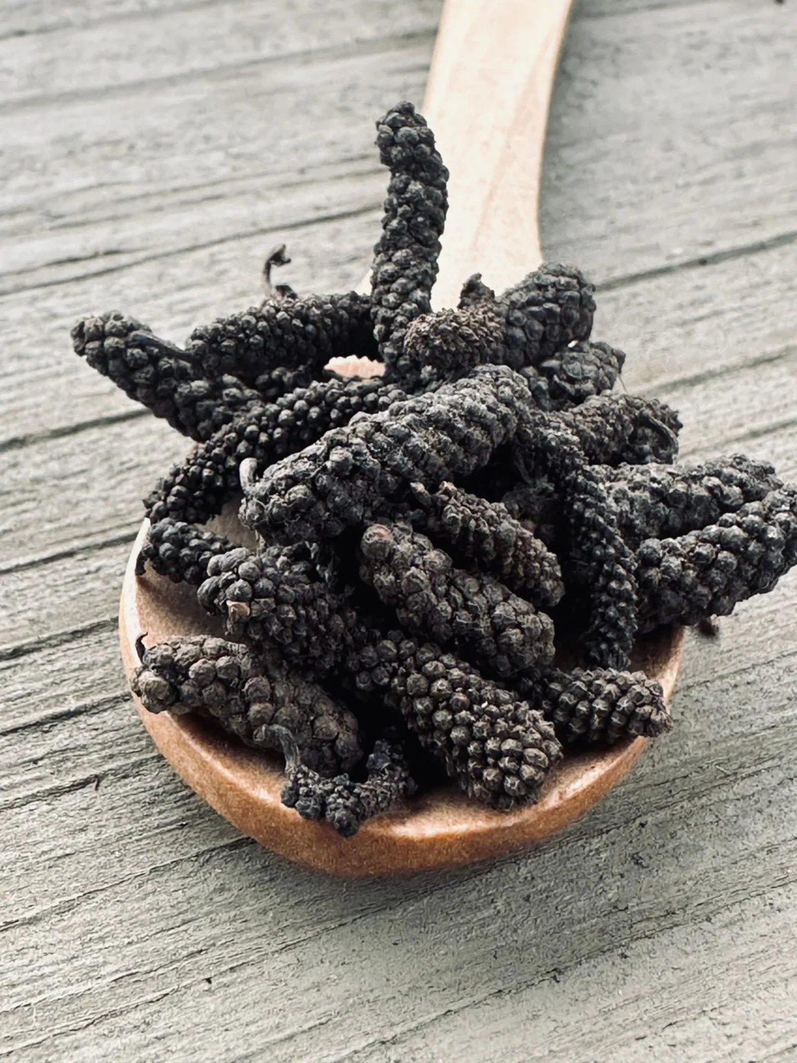 Long Pepper