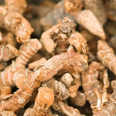 Galangal