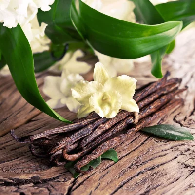 Vanilla Sticks